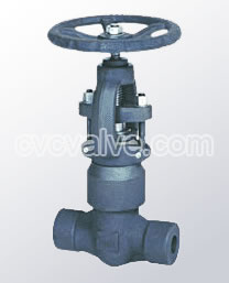 Pressure sealing globe valves