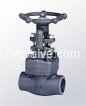 Chosen devices and varieties of gate valves