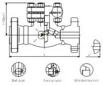 Flange and butt-welded check valves