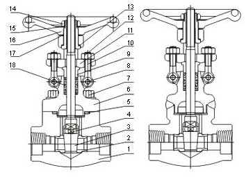 Female threaded and socket welded gate valves